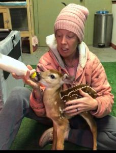Read more about the article Perry County Woman Doing Good by Rehabilitating Mammals from Deer to Squirrels