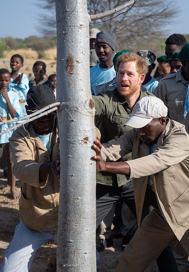 Prince Harry helped to plant a tree at the Chobe National Park