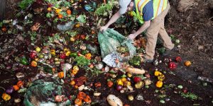 Read more about the article Vermont Doing Good Banning Food Waste In Favor of Composting